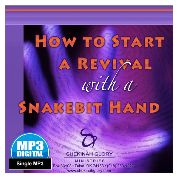 "How to Start a Revival with a Snakebit Hand" 2 x MP3 Audio Series