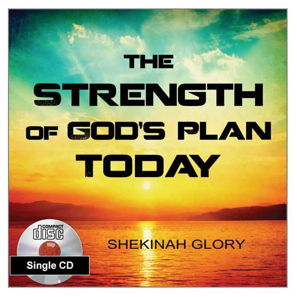 "The Strength of God's Plan Today" Single MP3 Audio Teaching